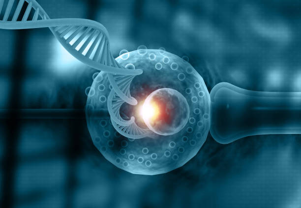 Genetic connections to fertility – what you need to know 4 Genetic connections between dna and fertility illustrated in ivf process