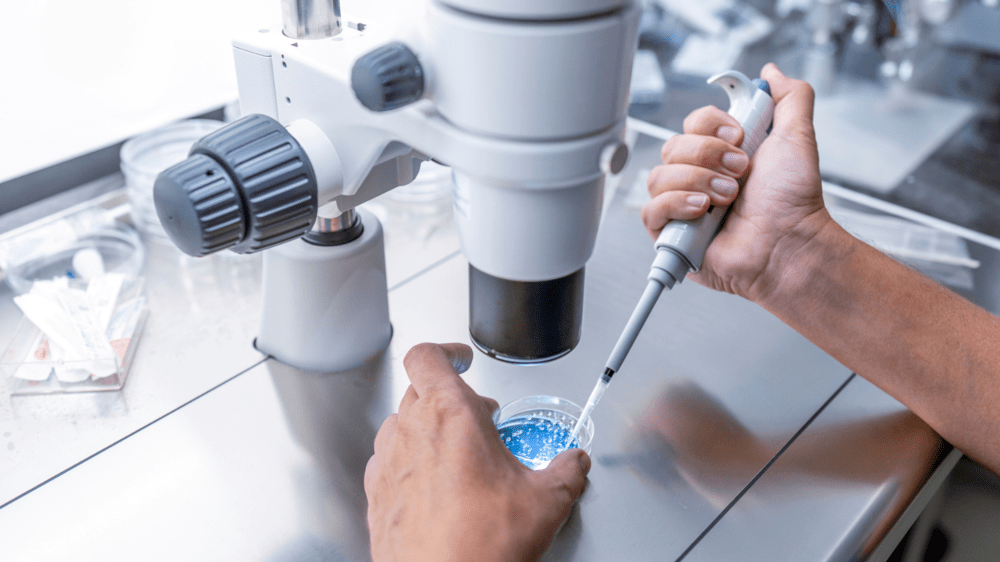 Embryo freezing process under microscope in ivf laboratory