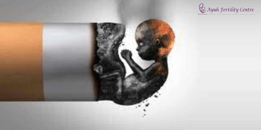 Graphic showing harmful effects of smoking and alcohol on unborn baby, with ayuh fertility centre logo.