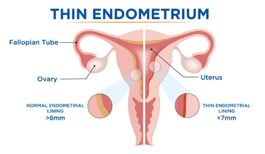 Screenshot 2025 12 19 150113