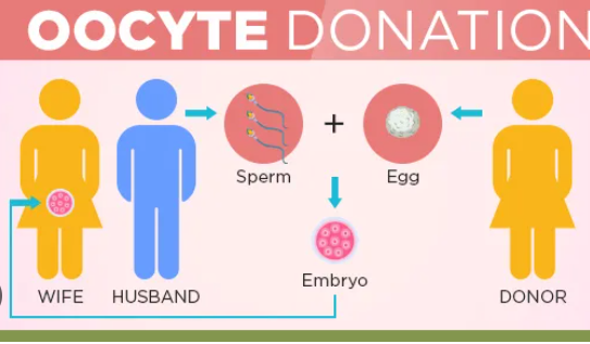 Screenshot 2025 12 19 151132