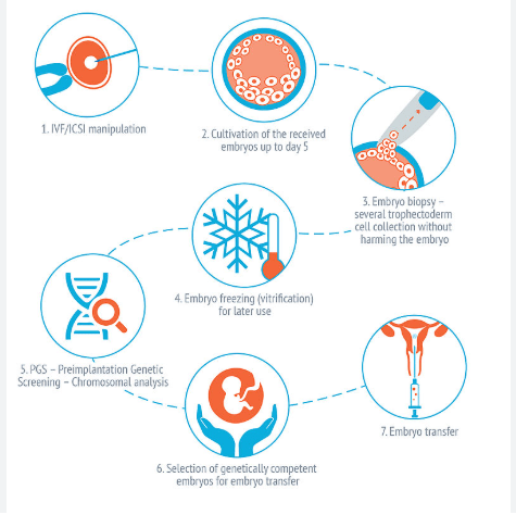 Screenshot 2025 12 19 154205