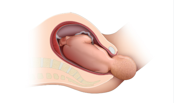 Screenshot 2025 12 20 152324