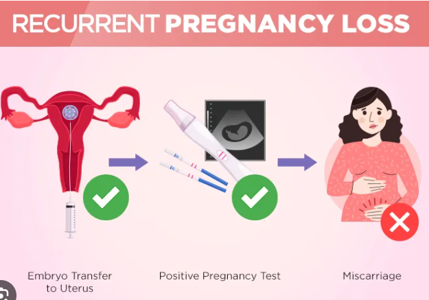 Screenshot 2025 12 20 152613