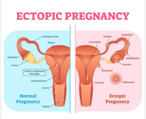 Screenshot 2025 12 20 152652