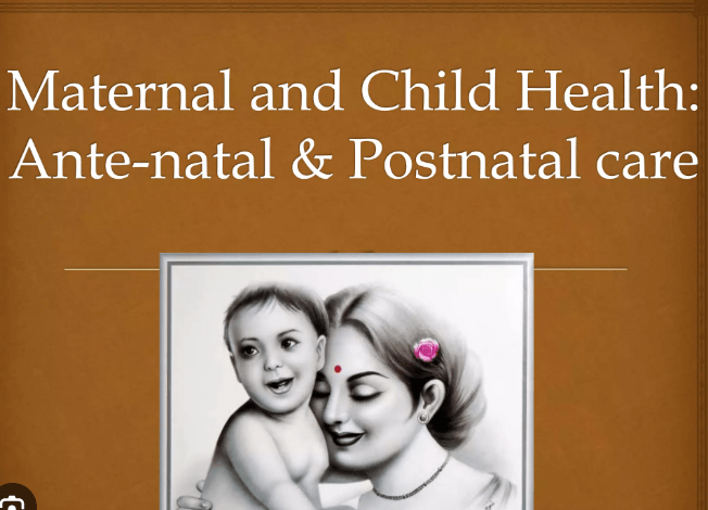 Screenshot 2025 12 20 152819