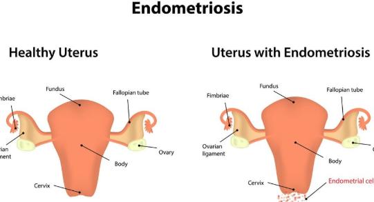 Screenshot 2025 12 20 160234