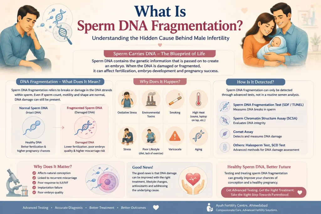 Male infertility advanced testing ahmedabad image explaining sperm dna fragmentation, male fertility assessment, and advanced diagnostic testing.