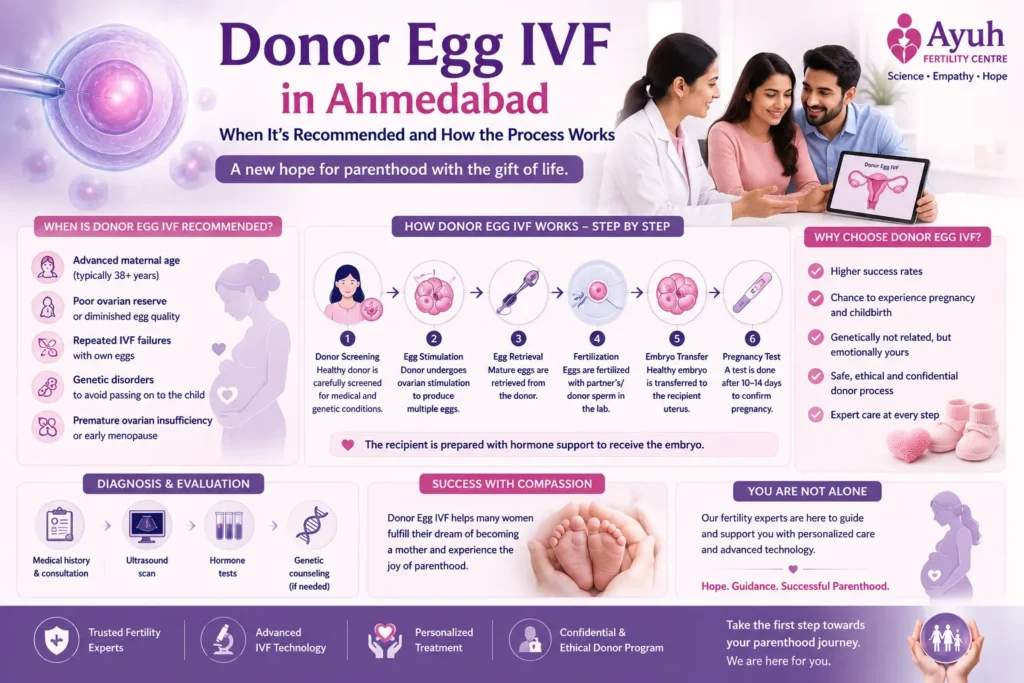 Donor egg ivf image showing a fertility specialist explaining the donor egg ivf process to a couple seeking fertility treatment.