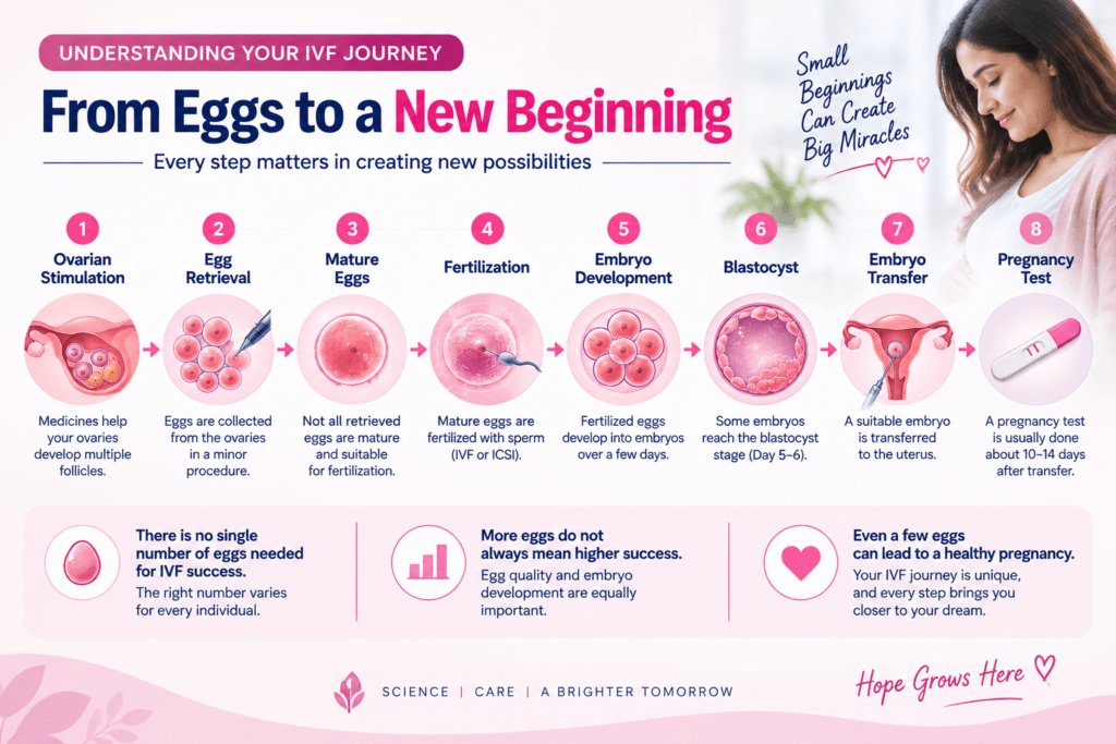 How many eggs are needed for ivf